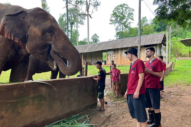 Full Day Experience at Ran-Tong Save & Rescue Elephant Centre - Additional Resources