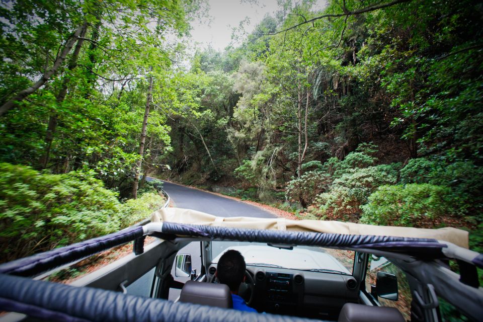 Full-Day Gomera Jeep Safari Excursion From Arona - Full Description