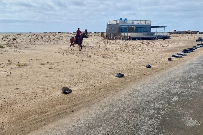 Full Day Group Tour - Includes Shark Bay & Salinas - Assistance and Information Available