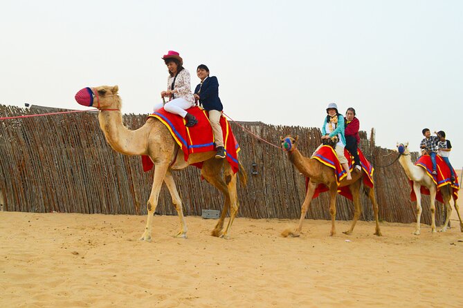 Full-Day Guided Red Dunes Desert Tour in Dubai With Camel Ride - Additional Tour Information