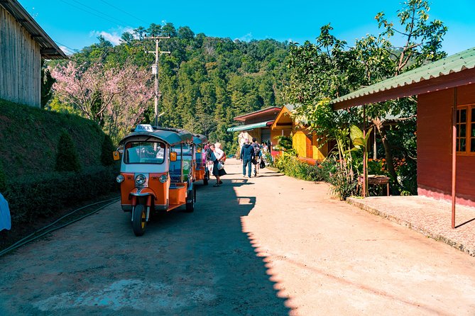 Full-Day Guided Tuk Tuk Chiang Mai Adventure and Rafting - Pricing Details