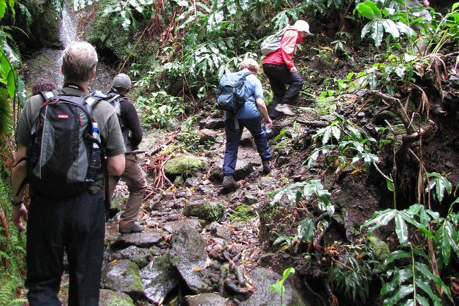 Full Day Hiking Faial Da Terra (Min. 2 Persons) - Common questions