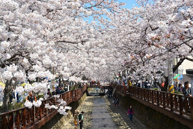 Full-Day Jinhae Cherry Blossom Festival Private Tour - Additional Booking Information