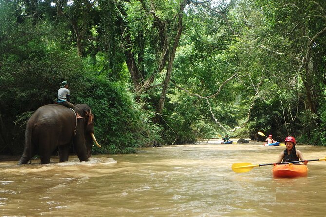 Full-Day Jungle Kayak Mae Wang Rock Hopper Trip From Chiang Mai - Additional Information