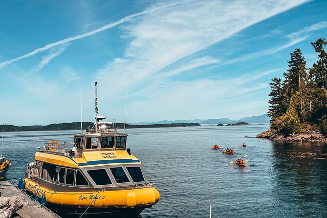 Full Day Kayaking Adventure on Vancouver Island - Trip Details