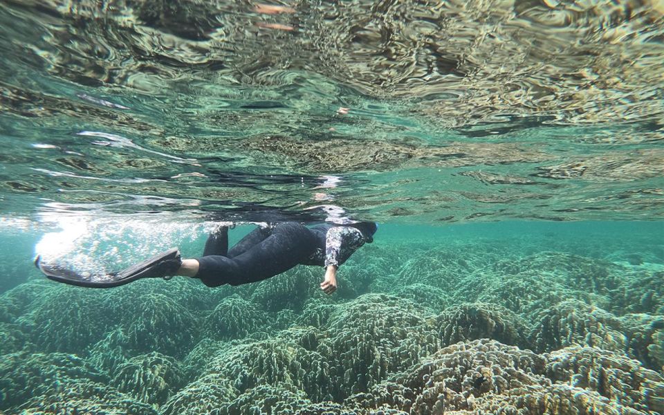 Full-Day Koh Lipe 7 Points Snorkeling Experience With Lunch - Experience