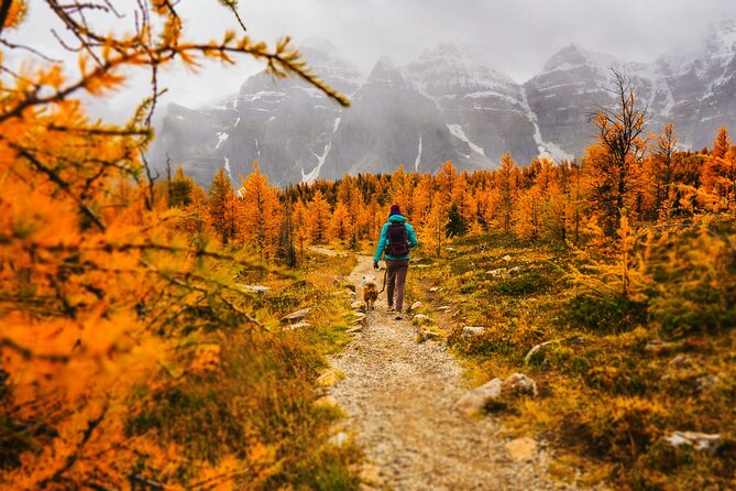 Full Day Larch Hike, Departure From Lake Louise - Wildlife Encounters