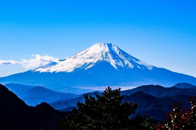 Full Day Mt.Fuji Chartered Taxi Tour - Cultural Experiences Included