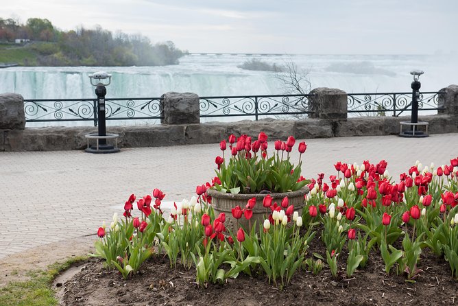 Full-Day Niagara Falls Tour From Toronto - Tour Operator