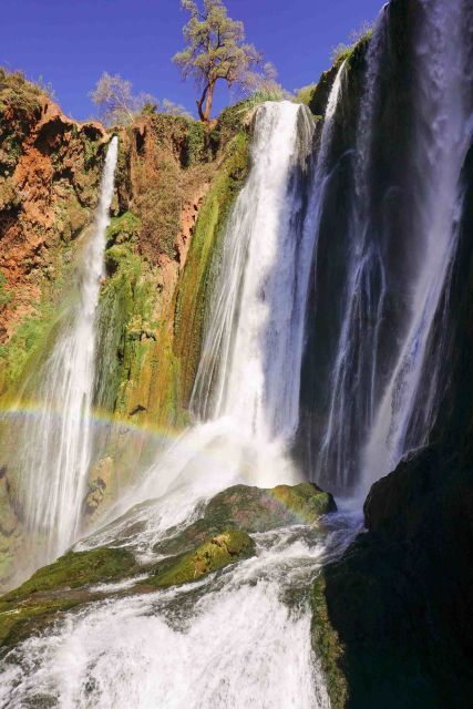 Full Day Ouzoud Waterfalls Day Tour & Guided Walk - Additional Inclusions and Services