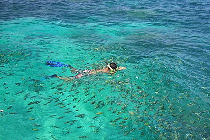 Full Day Phi Phi Island Tour and Snorkel Free Transfer - Transportation Details
