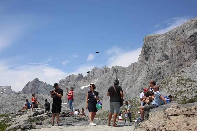 Full Day Private 4WD Tour From Bilbao to Picos De Europa. Fine Meals. - Pricing Details