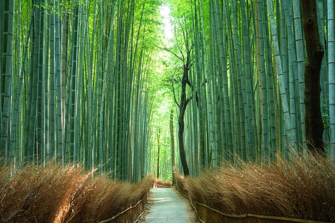 Full-Day Private Bamboo Grove and Golden Temple in Kyoto Tour - Tour Inclusions