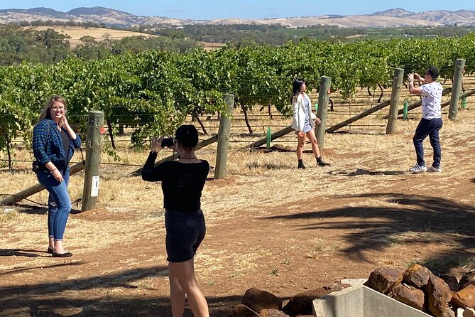 Full-Day Private Barossa Valley Wine Tour - Expert Tour Guide