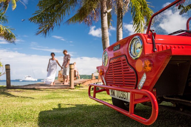 Full-Day Private Bora Bora Electric E-Moke Rental - Last Words