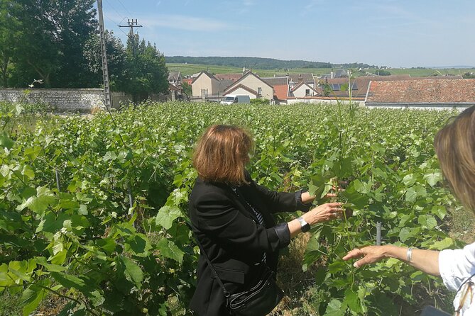 Full-Day Private Champagne Tasting in Reims and Its Vineyards - Refund Policy