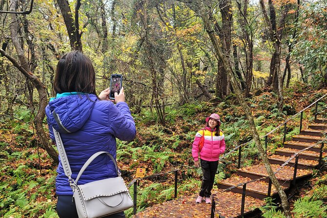 Full-Day Private Jumbo Taxi Tour - East of Jeju Island (Unesco) - Private Jumbo Taxi Features