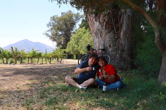 Full-Day Private Maipo Valley Bike Tour and Wine Tasting From Santiago - Logistical Information