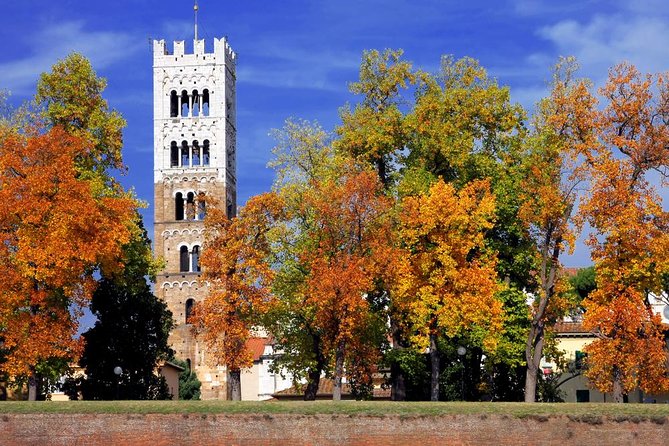 Full-Day Private Pisa and Lucca Tour From Florence - Additional Information and Support