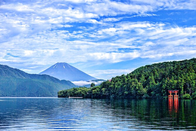 Full Day Private Tour in Hakone - Assistance and Contact Information