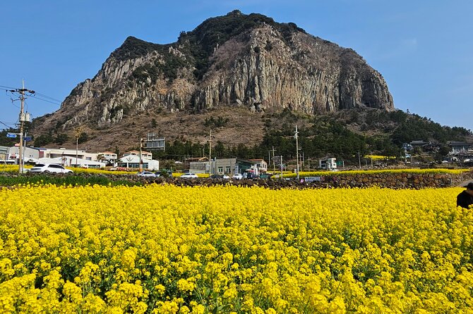 Full-Day Private Tour in Jeju Island - Activities and Attractions