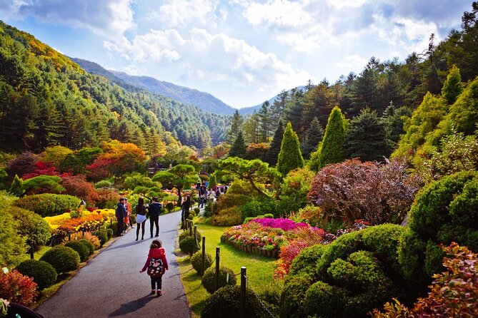 Full Day Private Tour Nami Island, Light Festival(Garden)&Petite - Itinerary Details