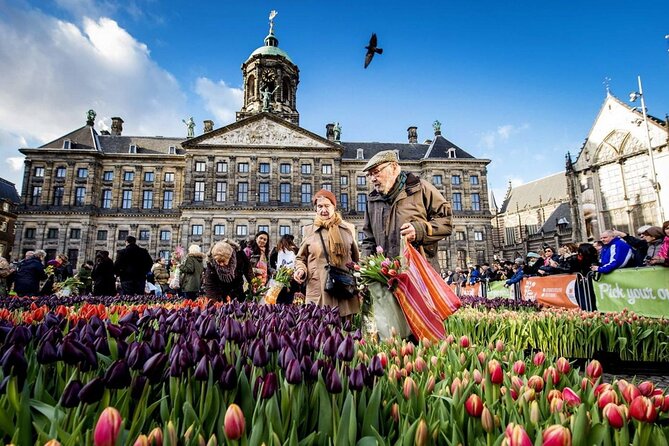 Full Day Private Tour to Amsterdam From Brussels - Pricing, Discounts, and Booking