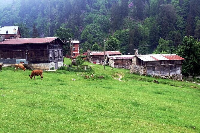 Full-Day Private Tour to Ayder Plateau From Trabzon - Customer Reviews and Ratings