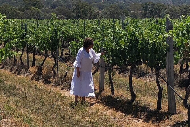 Full-Day Private Wine Tour of the Stanthorpe Area With Lunch - Lunch Menu
