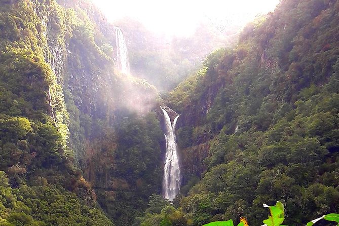 Full-Day Rabaçal Levada Walk From Funchal - Review 3