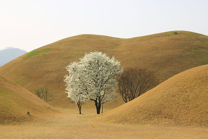 Full-Day Small Group Gyeongju History Tour From Seoul - Inclusions and Exclusions