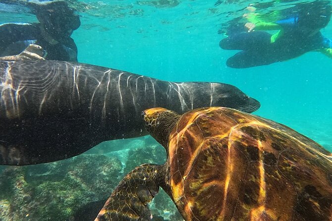 Full Day Snorkeling Tour Santa Fe Island and Playa Escondida - Cancellation Policy Details