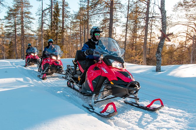 Full Day Snowmobile Safari Into the Lappish Wilderness in Rovaniemi - Cancellation Policy Details