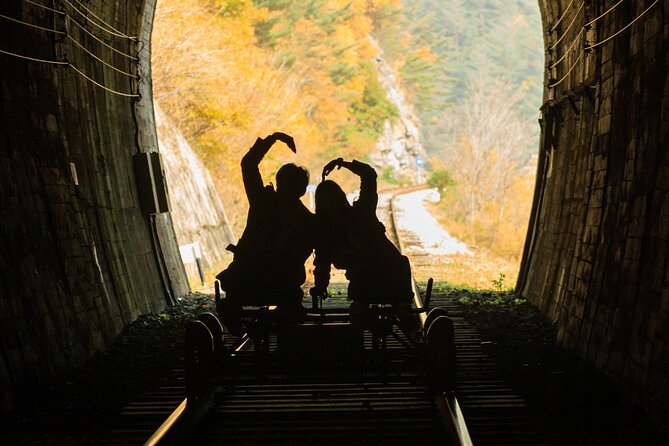 Full Day Strawberry Picking and Rail Bike in Nami Island - Contact Information for Inquiries