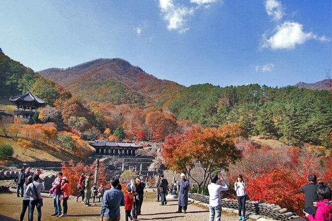 Full-Day Suncheon Bay Garden and Samseonggung Palace With Lunch - Itinerary Details