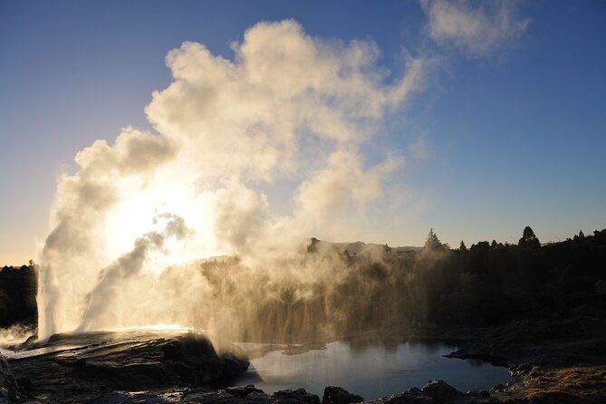 Full-Day Te Puia Geothermal Valley Experience From Auckland - Pricing Information