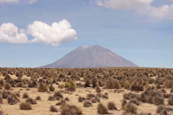 Full Day Tour Including Transfer to Puno / Colca Canyon - Customer Reviews