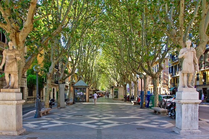 Full-Day Tour to Palma City and Valldemossa - Additional Information and Resources