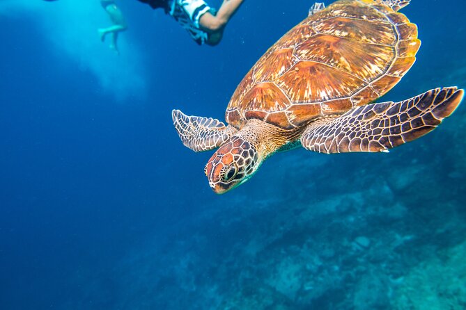 Full-Day Tour to the Similan Islands by Speedboat From Khao Lak - Travel Tips and Recommendations