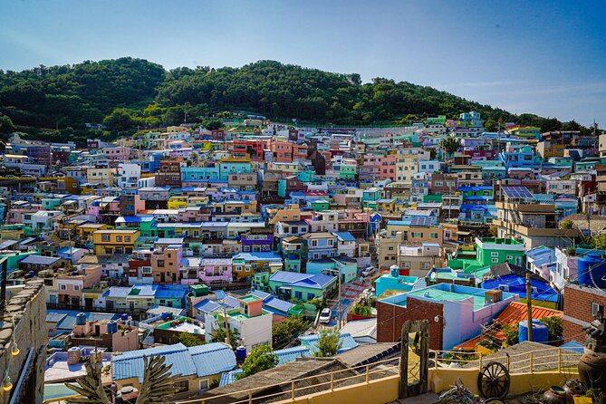 Full-Day Tour Unmissable Things to Do in Busan - Delicious Food to Try