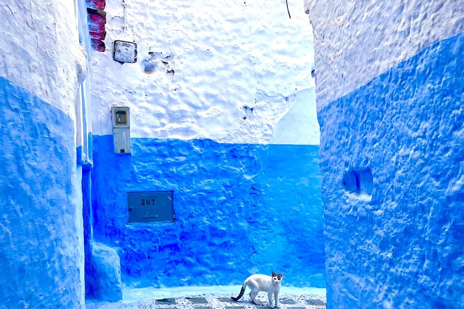 Full-Day Trip Akchour Waterfalls and Chefchaouen - Pricing and Variations