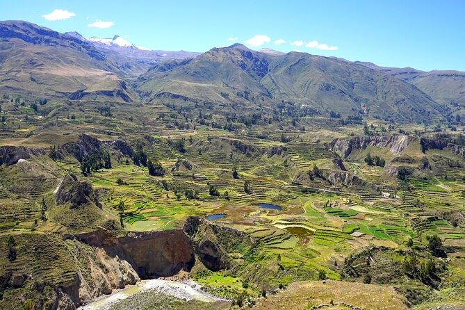Full Day Trip to Colca Canyon From Arequipa - Return Journey Details