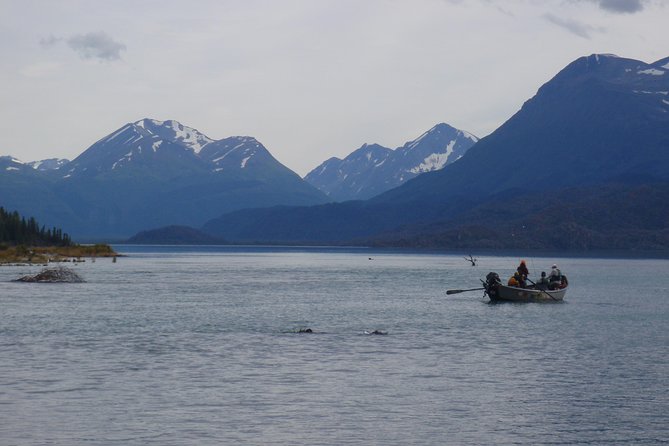 Full-Day Upper Kenai River Guided Fishing Trip - Common questions