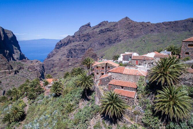 Full-Day Vip Masca and Teide Tour From South Tenerife - Traveler Resources