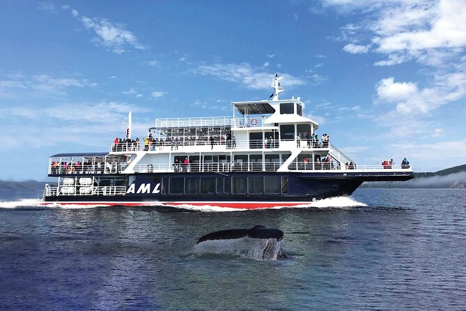 Full-Day Whale Watching Cruise From Quebec City - Recommendations and Suggestions