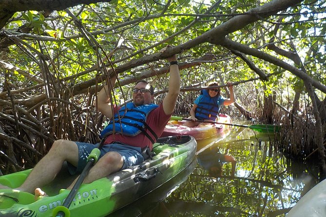 Fully Guided Kayaking Backwater Manatee and Dolphin Tour - Common questions