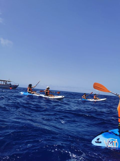 Funchal Boat Trip With Kayak Experience - Key Points