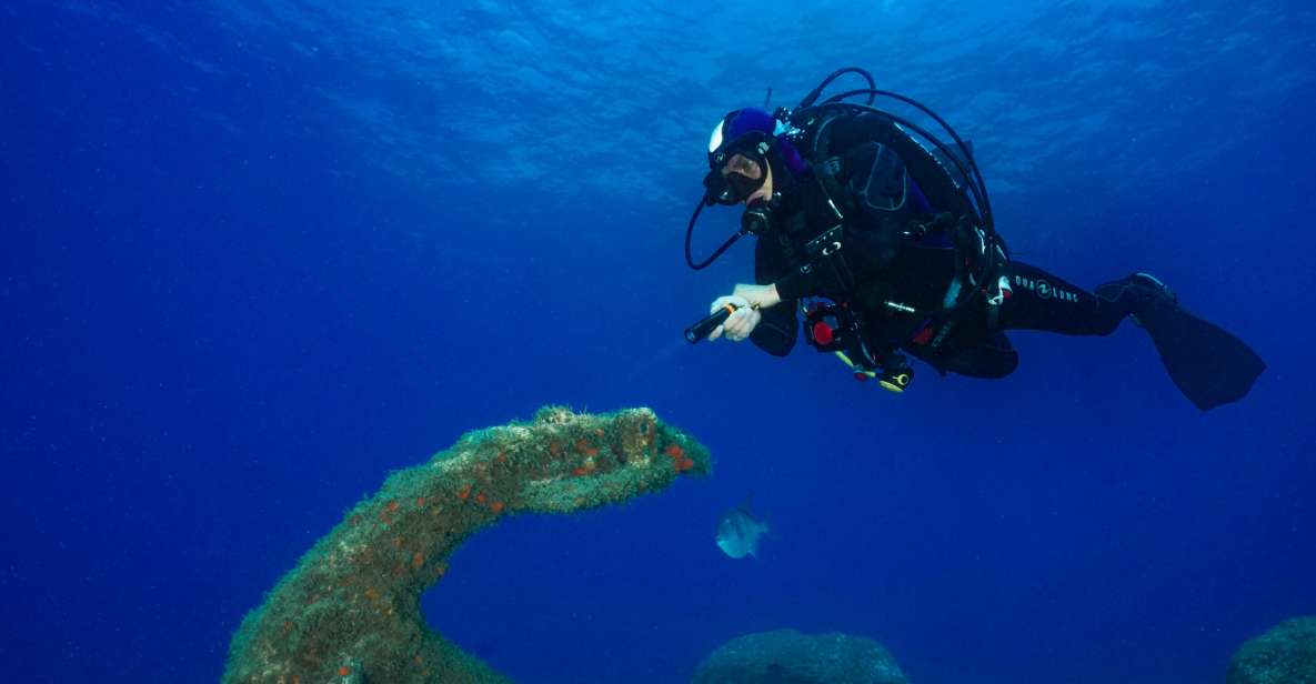 Funchal: Certified Scuba Diving, Guided Tour - Quality Assurance and Safety