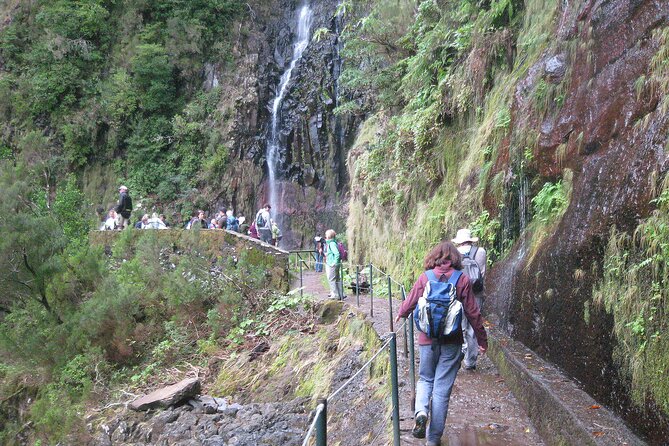 Funchal Small-Group Full-Day 15 Water Springs Walk  - Madeira - Funchal City Meeting Points