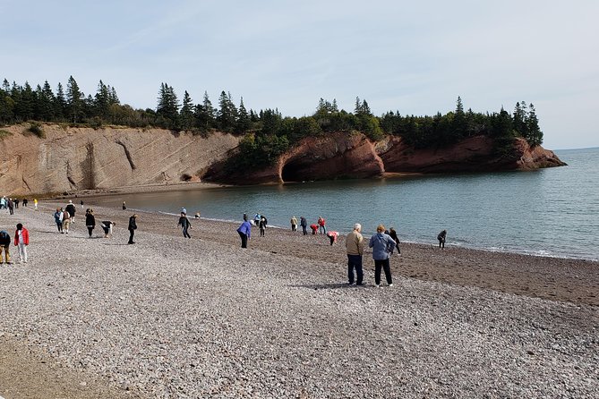 Fundy Coast to Fundy Shore Tour - Common questions